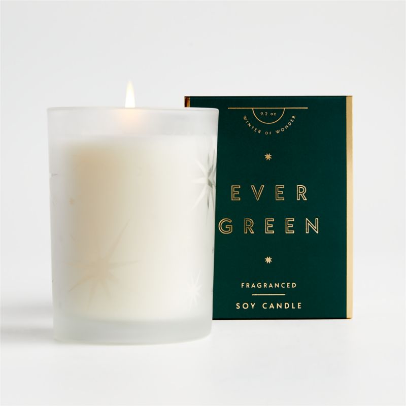 ILLUME Ever Green Boxed Candle | Crate and Barrel Canada