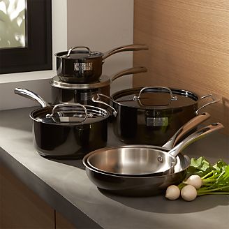 Fleischer and Wolf London Titanium Stainless Steel 10-Piece Cookware Set