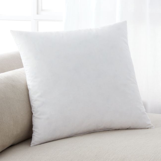 Online Designer Living Room Pillow Insert