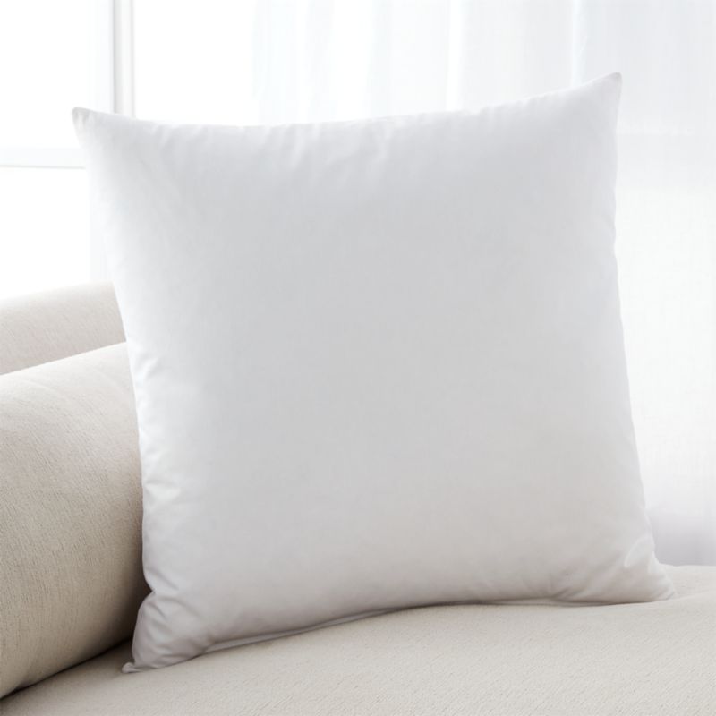 FeatherDown 20" Pillow Insert + Reviews Crate and Barrel