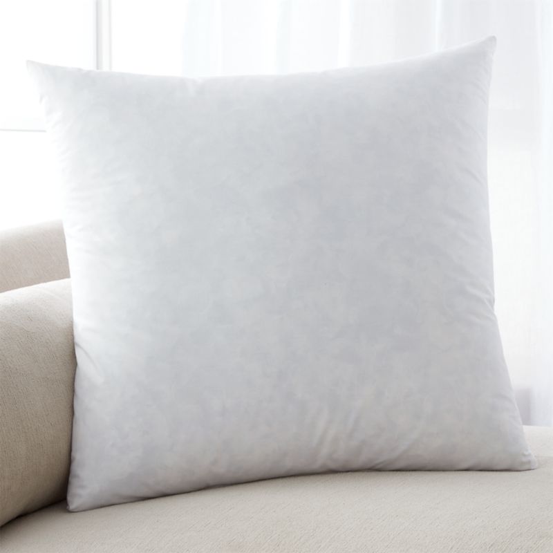 FeatherDown 23" Pillow Insert + Reviews Crate and Barrel