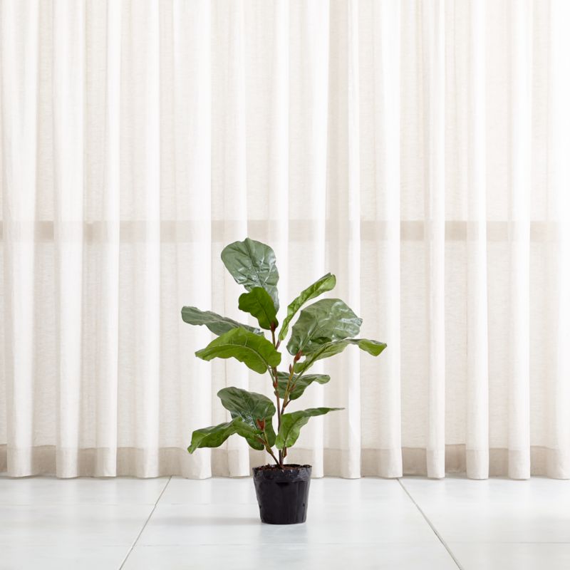 Faux 3.5' Fiddle Leaf Fig Tree + Reviews  Crate and Barrel