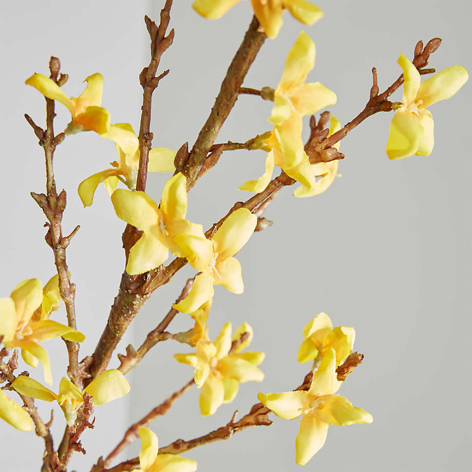 Forsythia Artificial Flower Stem + Reviews Crate and Barrel