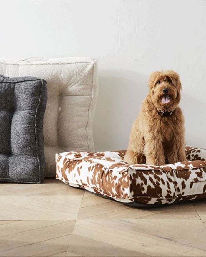 Pet and store kid friendly couches