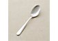 Fusion Serving Spoon
