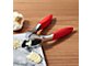 Red Garlic Press & Slice