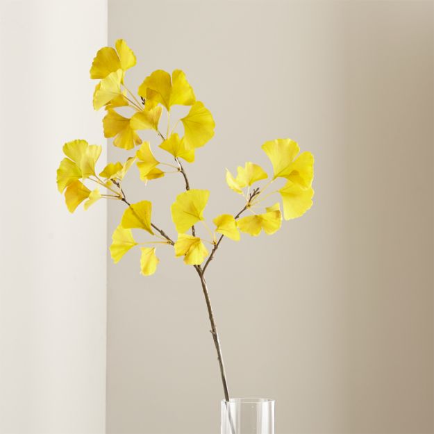 Yellow Ginkgo Stem + Reviews Crate and Barrel