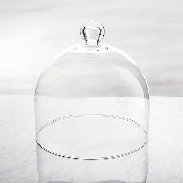 Gl Dome Reviews Crate And Barrel