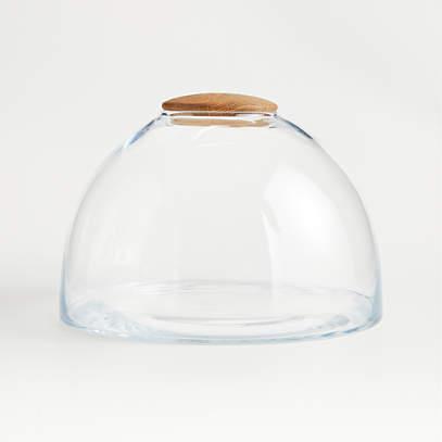 Large Glass Terrarium With Wood Lid Reviews Crate And Barrel - Large Glass Terrarium Jars Large Glass Terrarium With Wood Lid Reviews Crate And Barrel - Large Glass Terrarium Jars