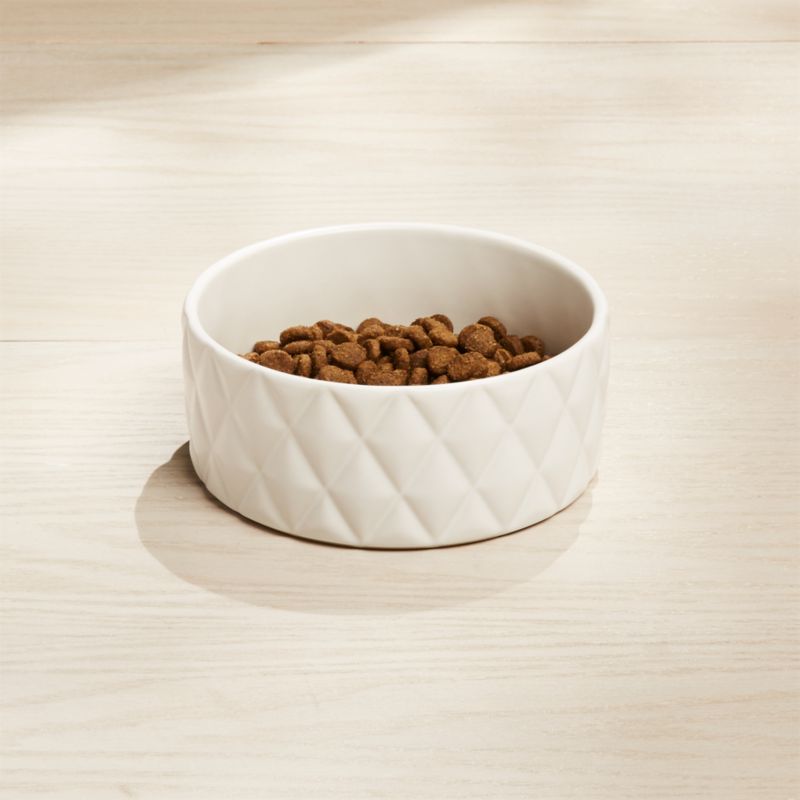 small dog food bowls