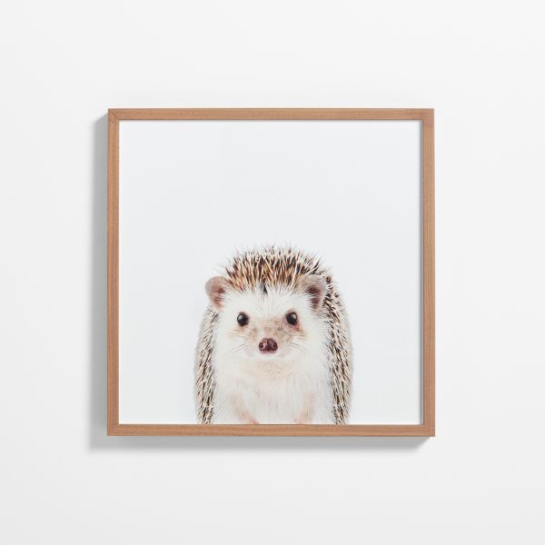 Baby Hedgehog Walnut Wood Framed Wall Art Print