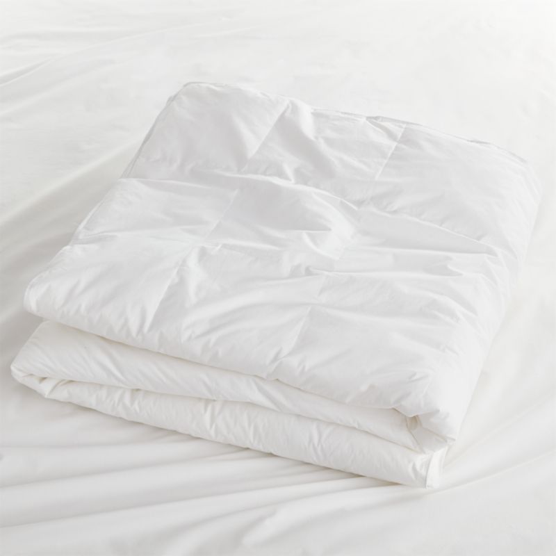 Hypoallergenic Heavyweight Duvet Inserts Crate And Barrel