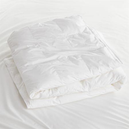 Hypoallergenic Medium Duvet Inserts Crate And Barrel