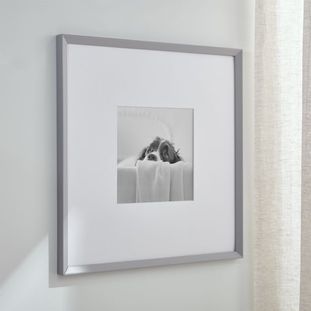 Icon 11x11 Grey Picture Frame + Reviews Crate and Barrel Canada