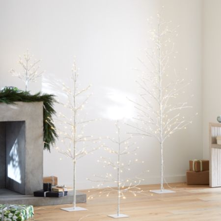 Led Birch Trees Crate And Barrel
