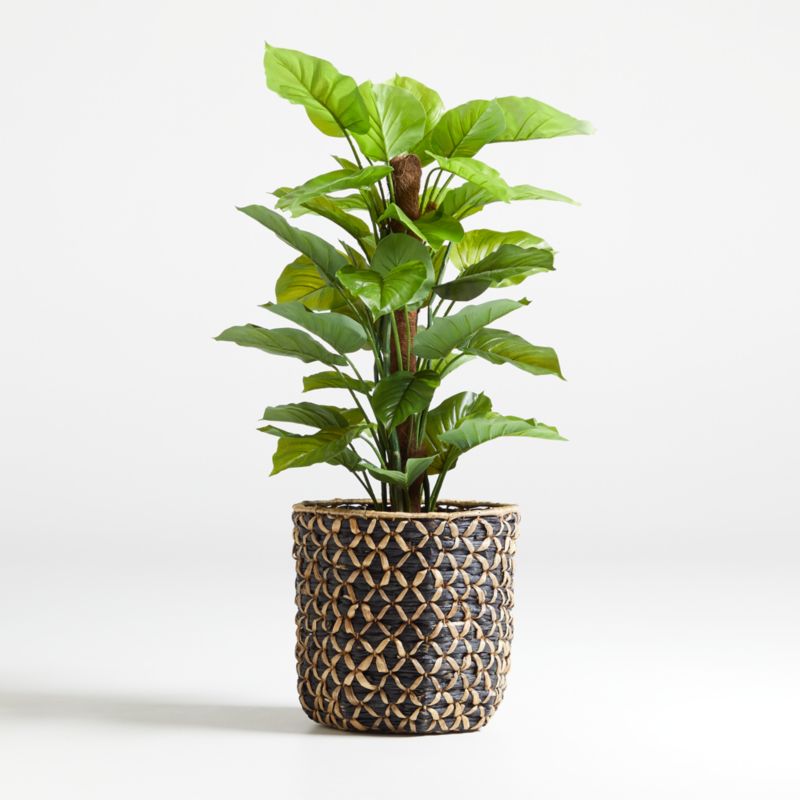 52" Artificial Large Leaf Philodendron Plant + Reviews Crate and Barrel
