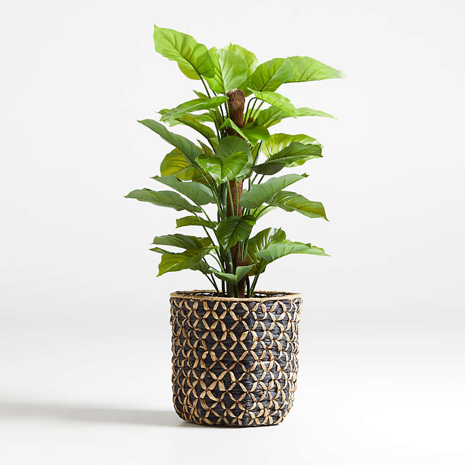 52" Artificial Large Leaf Philodendron Plant + Reviews Crate and Barrel
