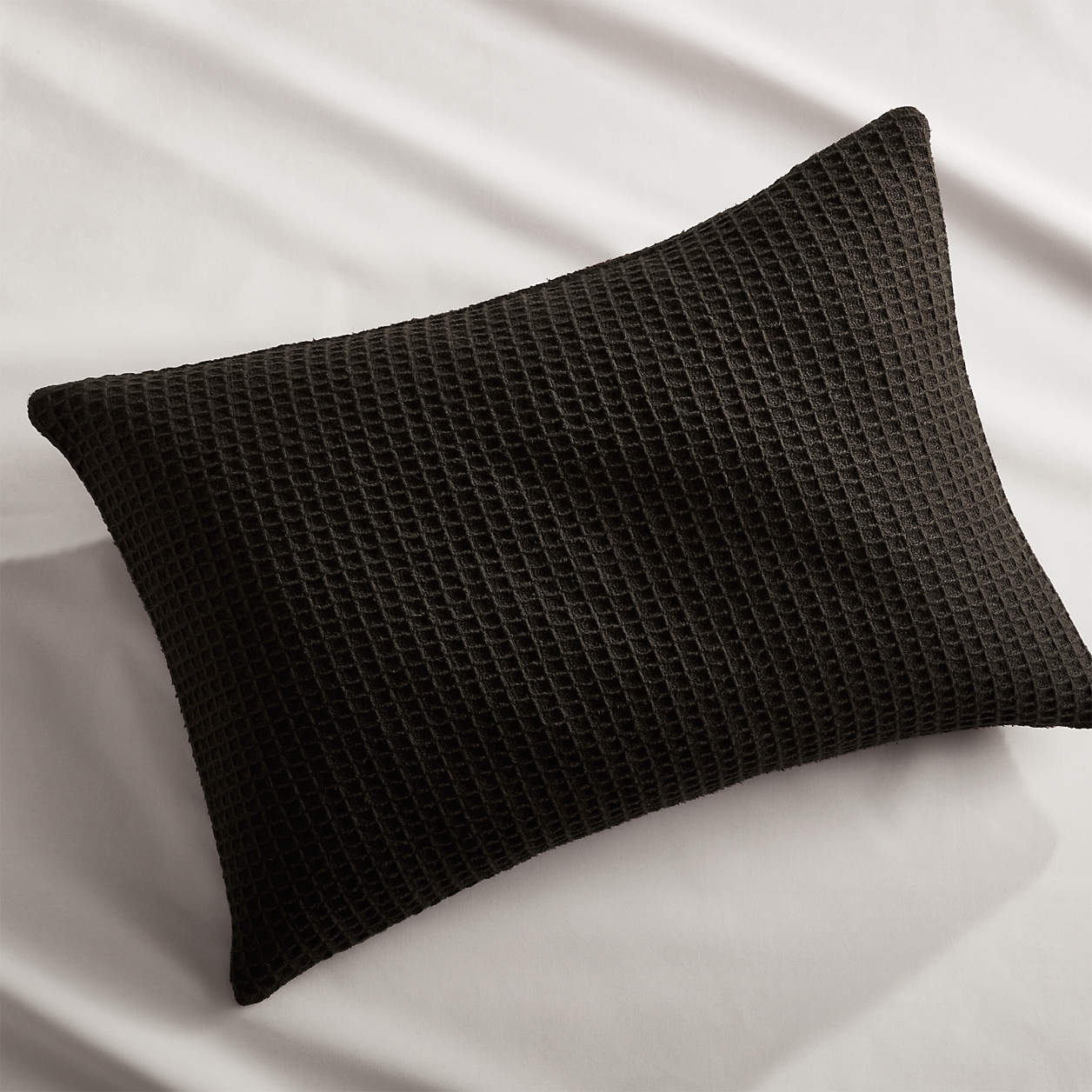 Lindstrom Black Bed Pillow 22x15 with Feather Down Insert + Reviews