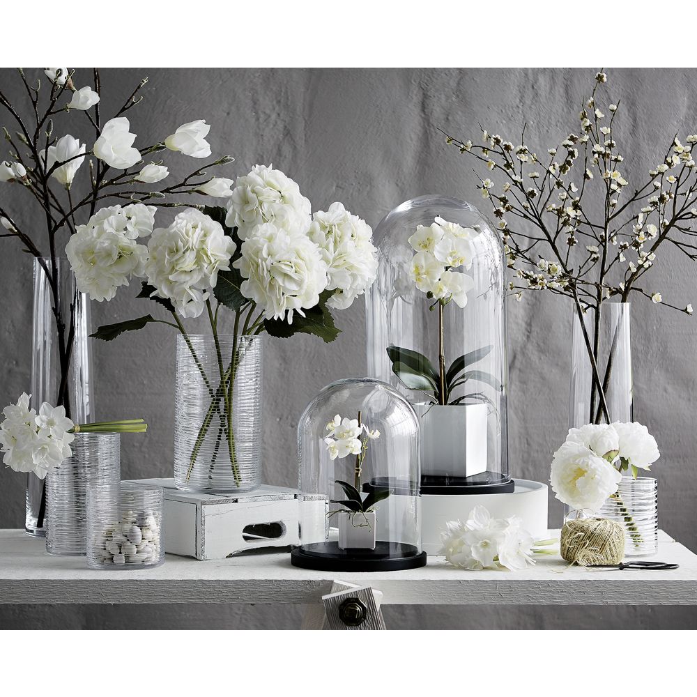 Online Designer Living Room Large Potted Orchid Plant