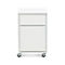 Pilsen White Two Drawer File Cabinet | Crate and Barrel