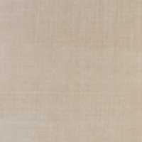 Monaco Performance Indoor/Outdoor Beige Rug Swatch 12"x18"