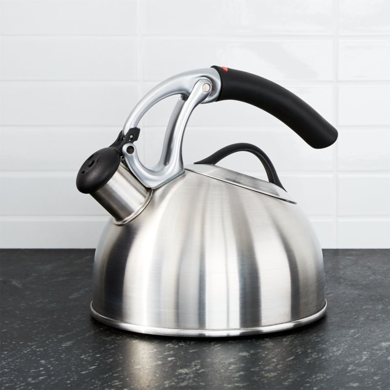 stainless tea kettle