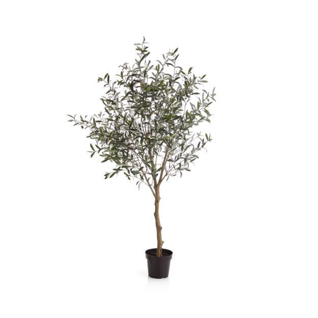 Faux Olive Tree Crate and Barrel
