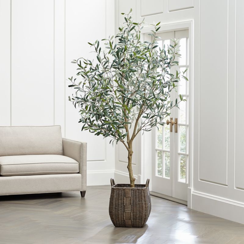 Faux Olive Tree + Reviews Crate and Barrel