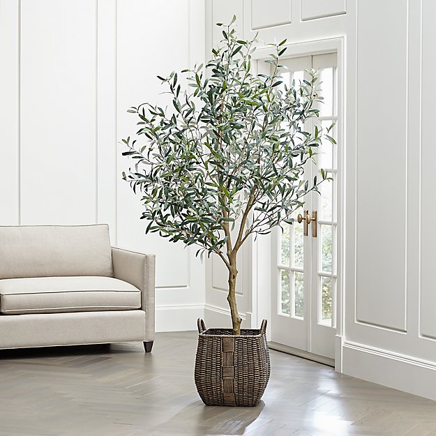 Faux Olive Tree Crate and Barrel