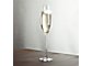 Oregon Champagne Glass