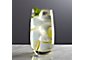 Oregon Highball Glass