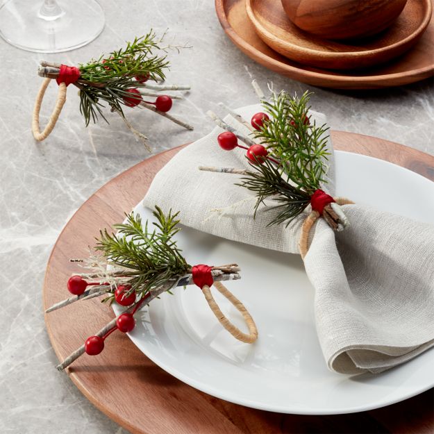 Paper Twig Napkin Ring Reviews Crate And Barrel Canada