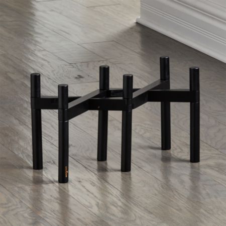 Large Pet Bowl Stand Reviews Crate And Barrel