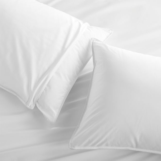 Set of 2 Standard Pillow Protectors + Reviews Crate and Barrel
