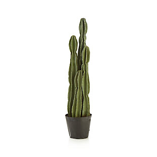 potted eucalyptus crateandbarrel bunch