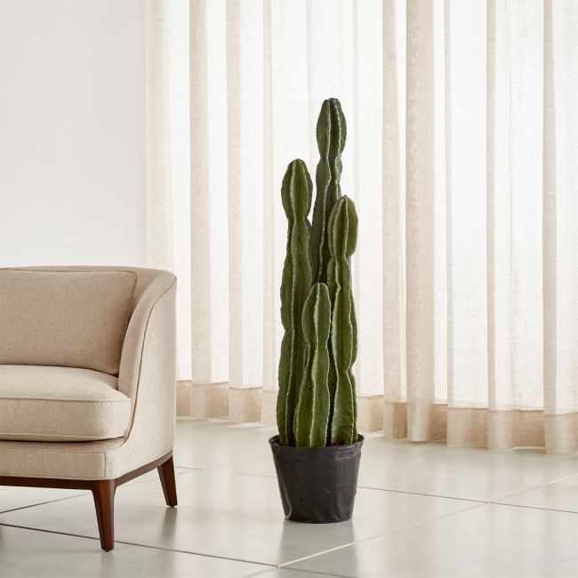 Online Designer Combined Living/Dining Faux Potted Cactus