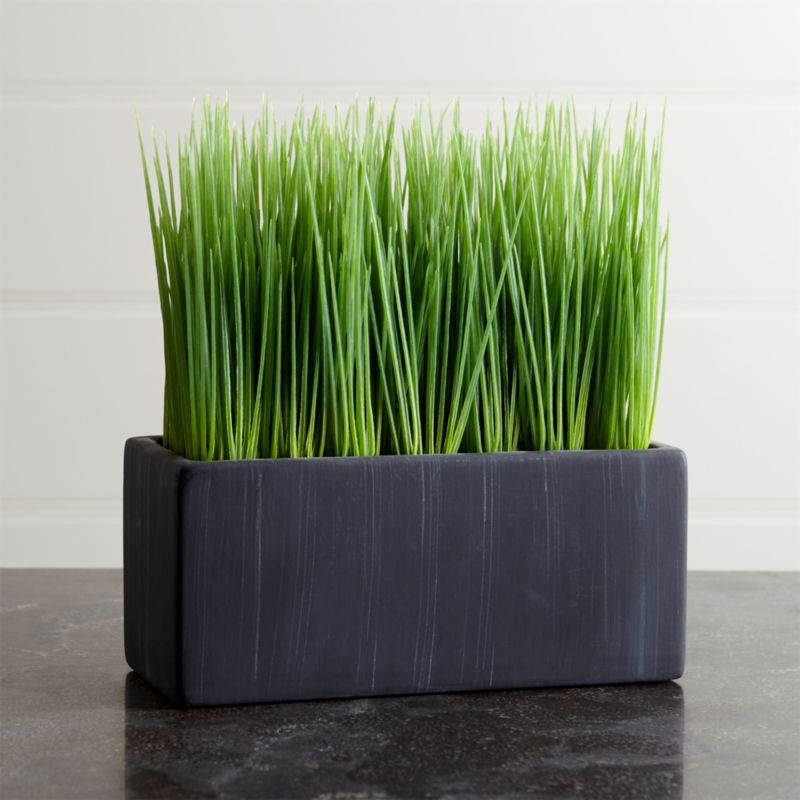 Large Potted Grass + Reviews Crate and Barrel