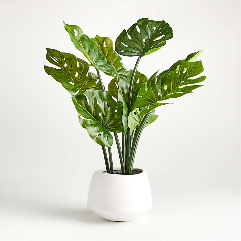 Artificial Potted Monstera + Reviews Crate and Barrel