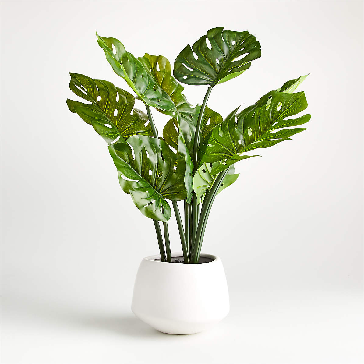 Artificial Potted Monstera Reviews Crate And Barrel