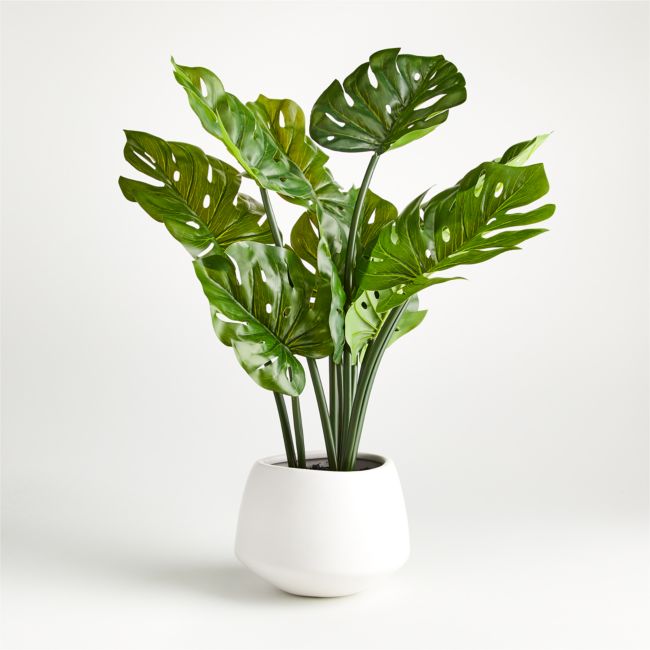 Online Designer Combined Living/Dining Artificial Potted Monstera