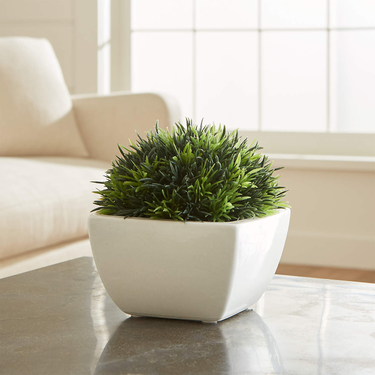 Potted Artificial Moss + Reviews | Crate and Barrel