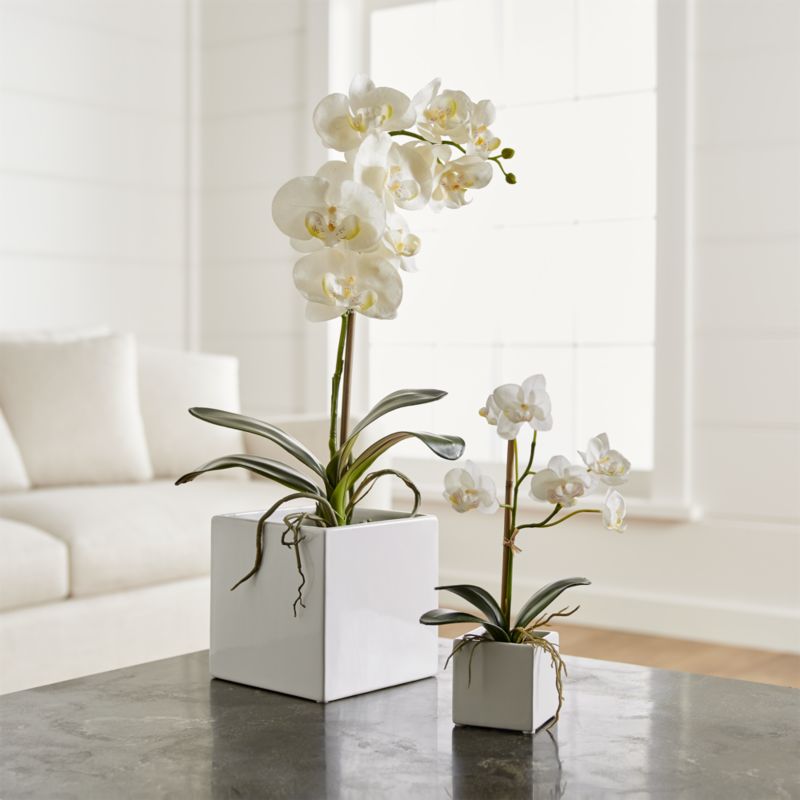 Faux Orchids | Crate and Barrel