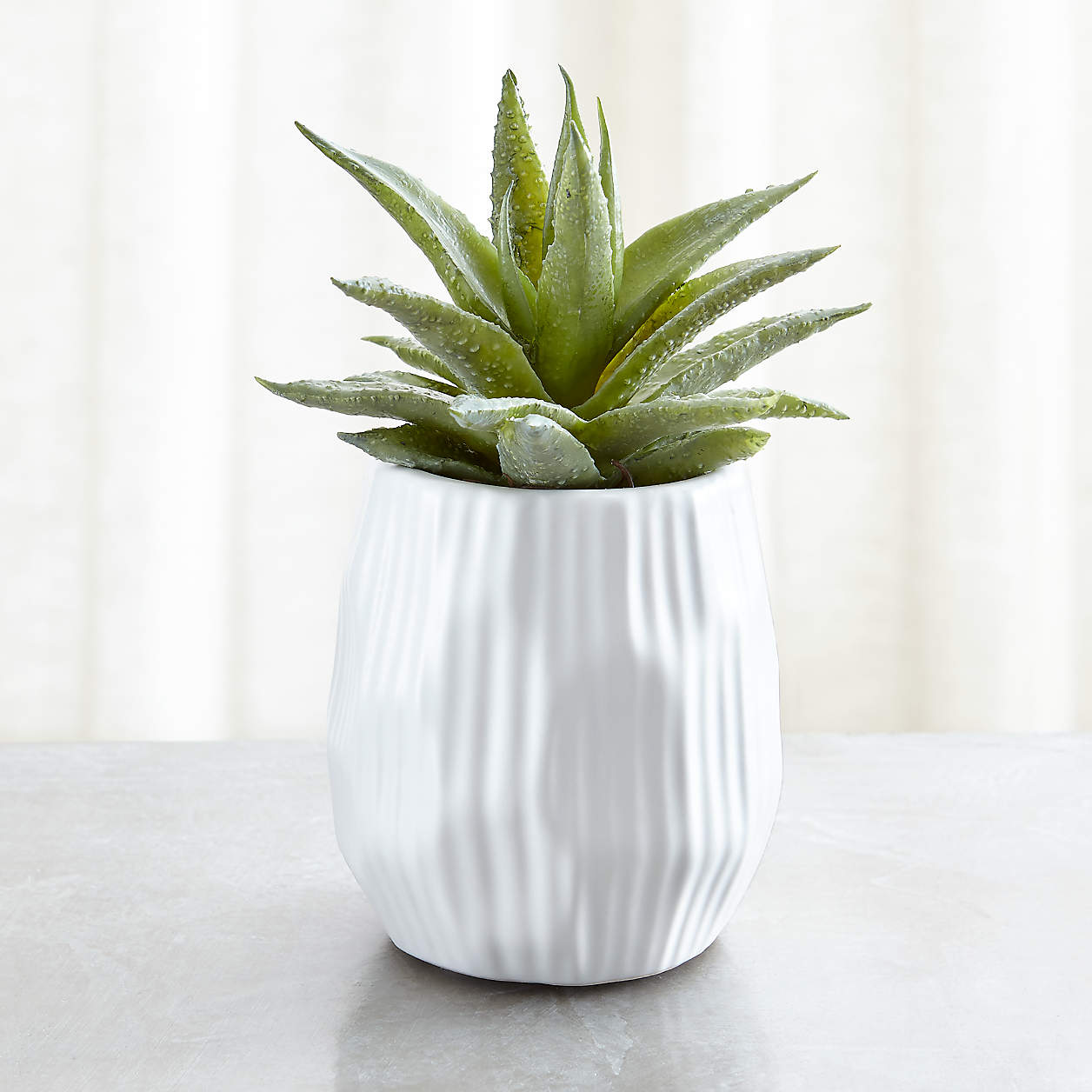 Artificial Potted Succulent Plants Crate and Barrel Canada