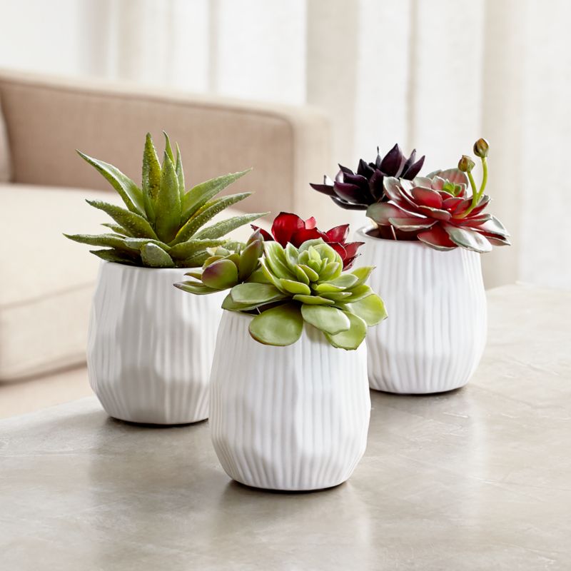 Potted Faux Succulent Plants Crate and Barrel