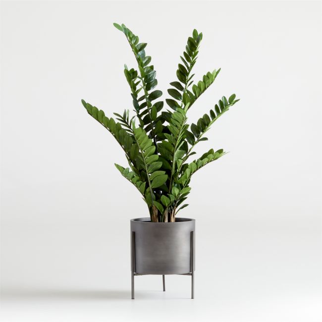 Online Designer Combined Living/Dining Artificial Potted ZZ Plant
