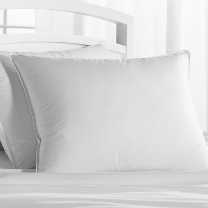 Premium Down Medium Standard Pillow + Reviews Crate and Barrel