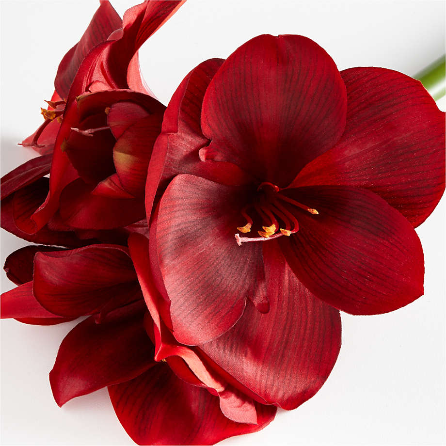 Artificial Red Amaryllis Stem Crate and Barrel Canada