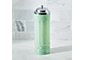 Retro Mint Straw Dispenser with Straws