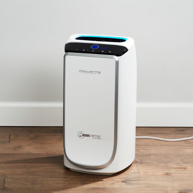 Rowenta Intense Pure Air Purifier + Reviews Crate and Barrel