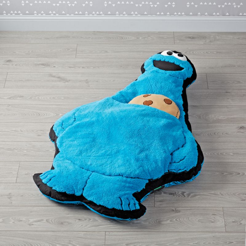 cookie monster stuffed toy